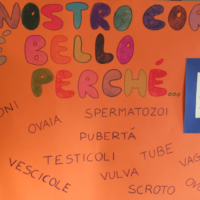 progetto porcospini un aiuto o un danno ai bambini